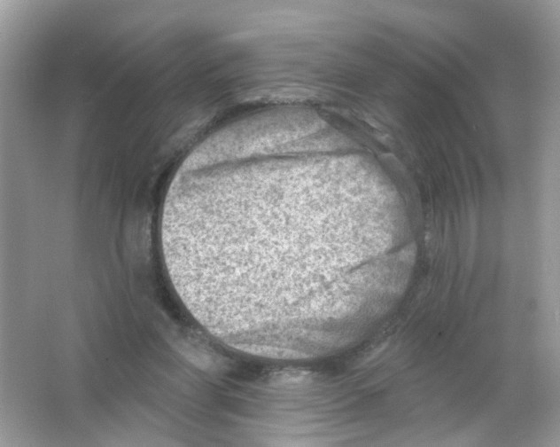 X0000063530206200602172252