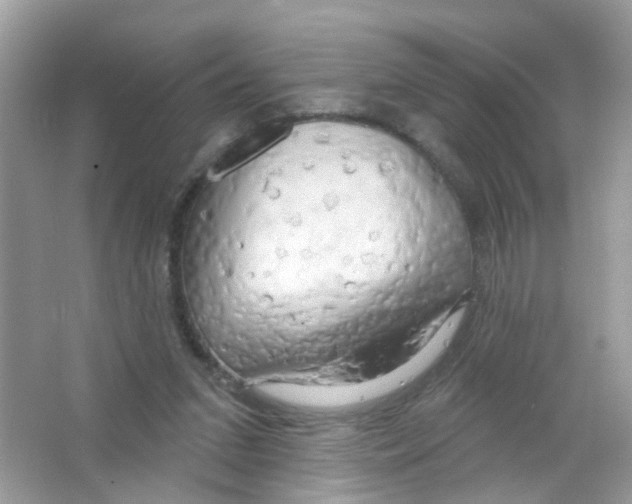 X0000063530207200602172252