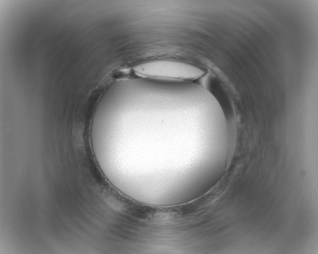 X0000063530209200602172252