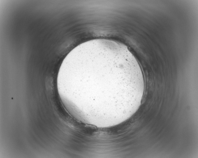 X0000063530211200602172252