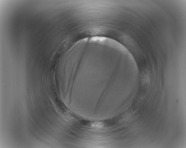 X0000063530214200602172252