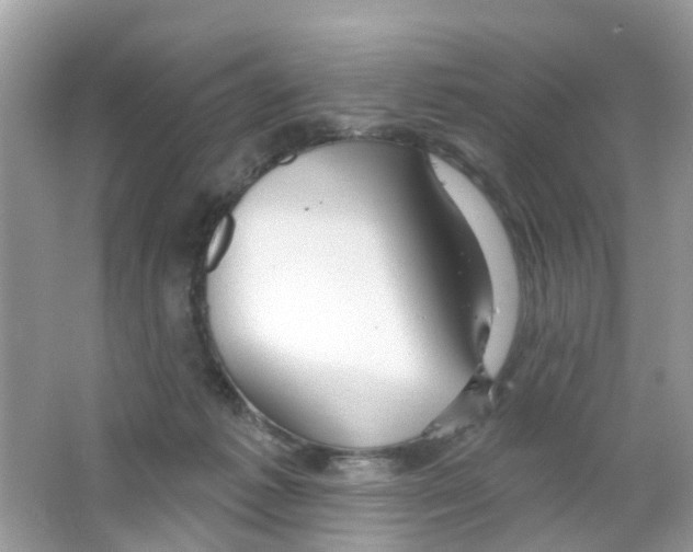 X0000063530221200602172251