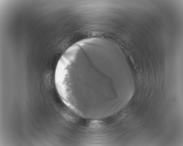 X0000063530222200602172251