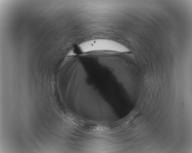 X0000063530223200602172251