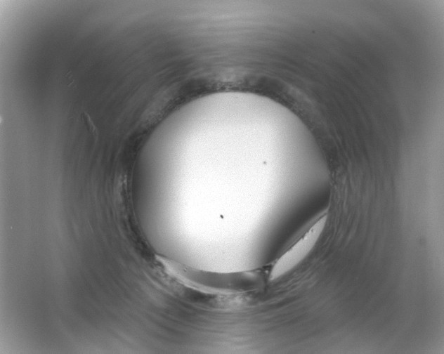 X0000063530225200602172251