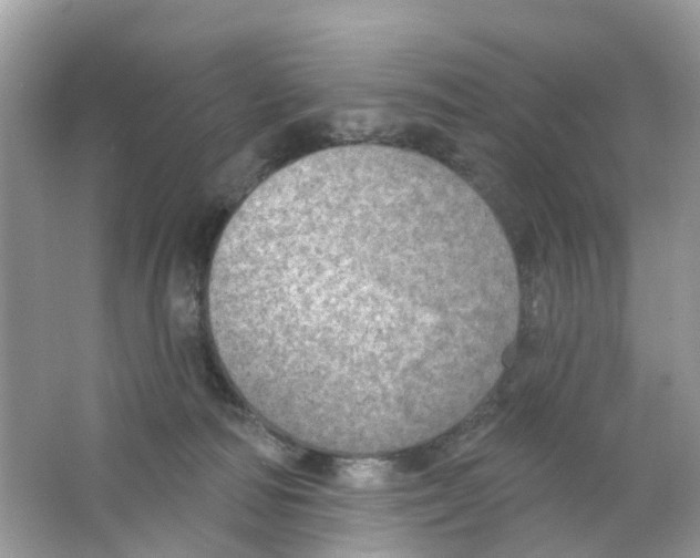 X0000063530226200602172251