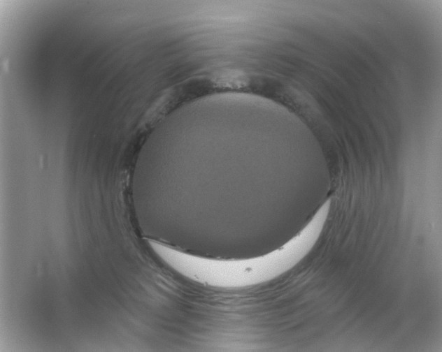 X0000063530229200602172251