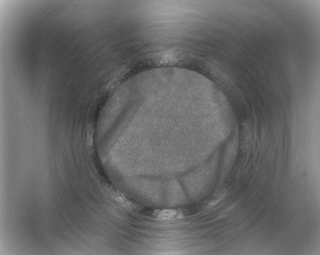 X0000063530230200602172251