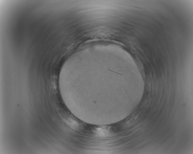 X0000063530232200602172251