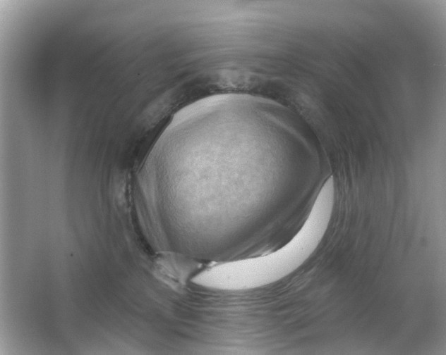 X0000063530233200602172251