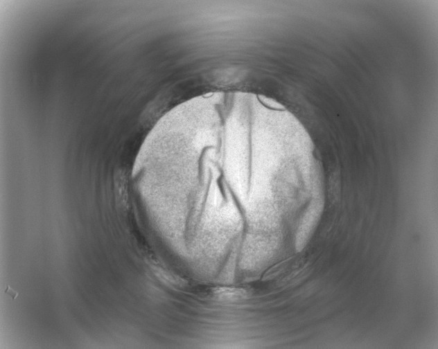 X0000063530234200602172251