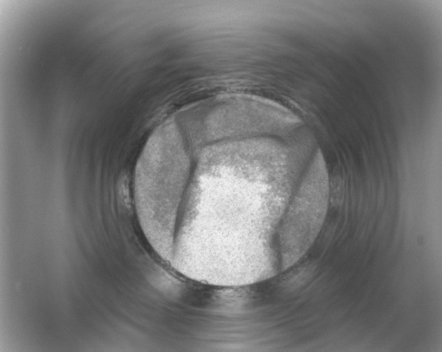 X0000063530238200602172251