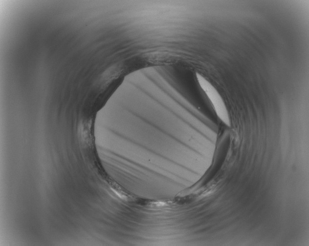 X0000063530239200602172251