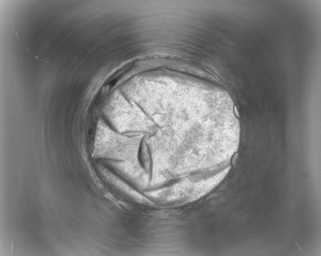 X0000063530241200602172250