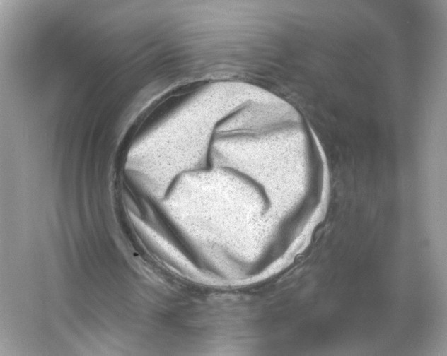 X0000063530242200602172250