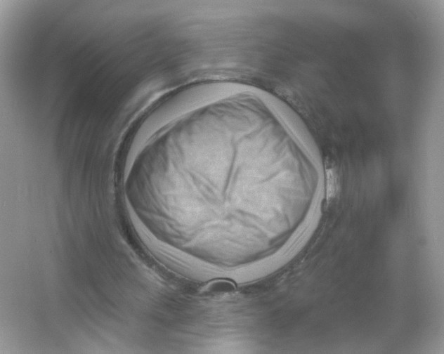 X0000063530243200602172250