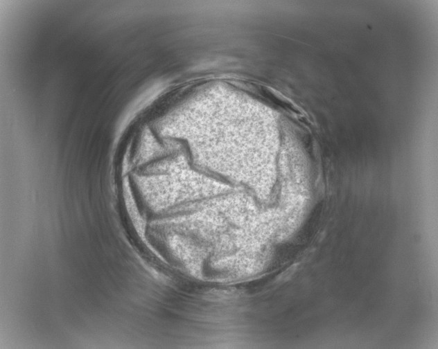 X0000063530245200602172250