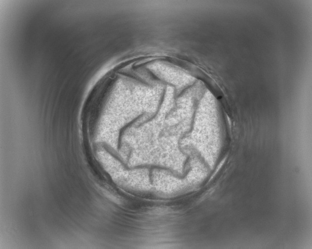 X0000063530246200602172250