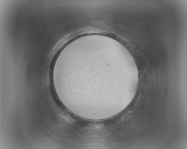 X0000063530247200602172250