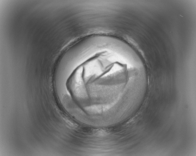 X0000063530249200602172250