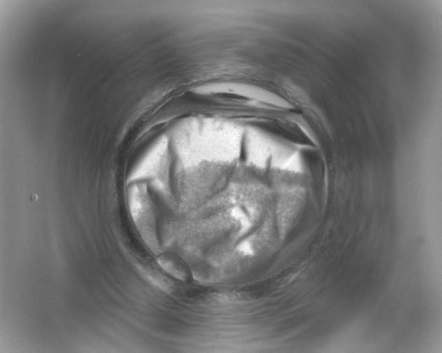 X0000063530250200602172250