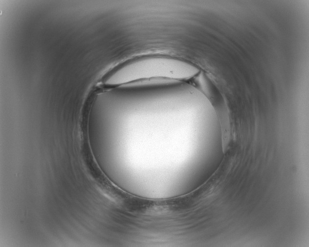 X0000063530252200602172250