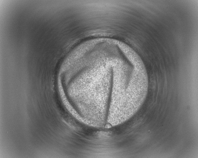 X0000063530255200602172251