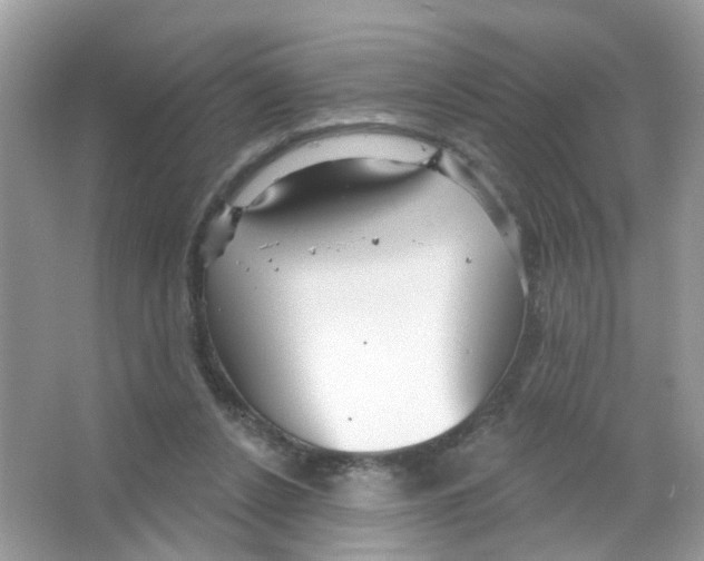 X0000063530256200602172251