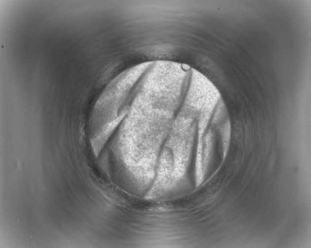 X0000063530259200602172251