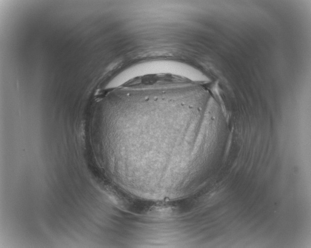 X0000063530260200602172251