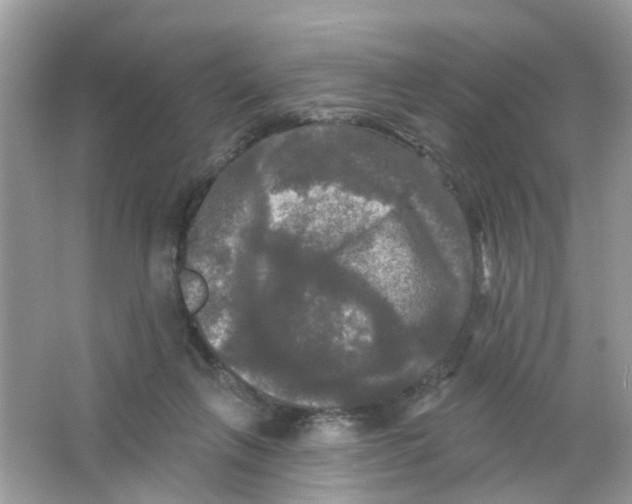 X0000063530263200602172251