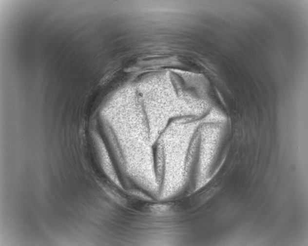 X0000063530265200602172251