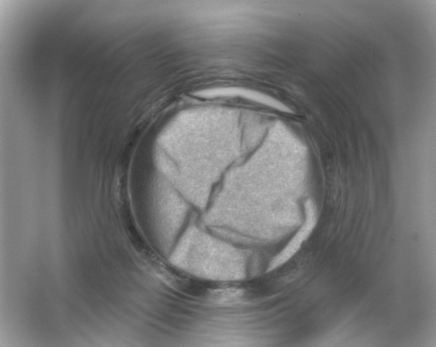 X0000063530266200602172251