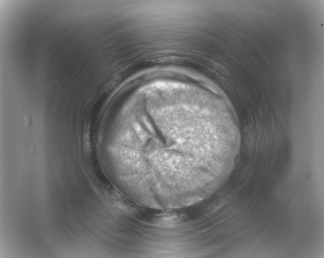 X0000063530267200602172251