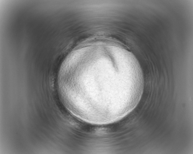 X0000063530268200602172251