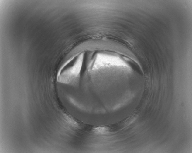 X0000063530269200602172251