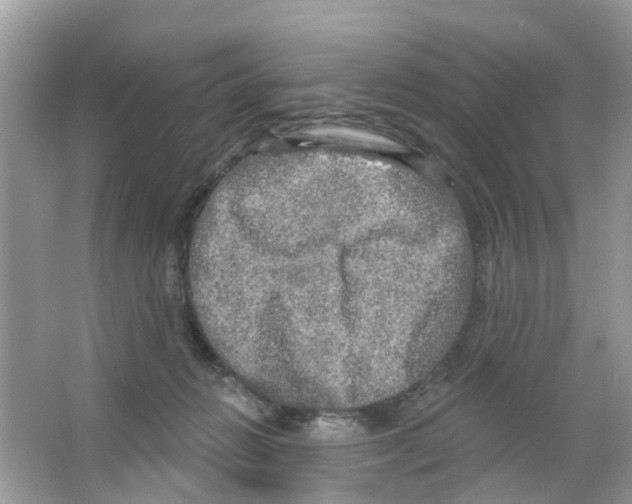 X0000063530270200602172251