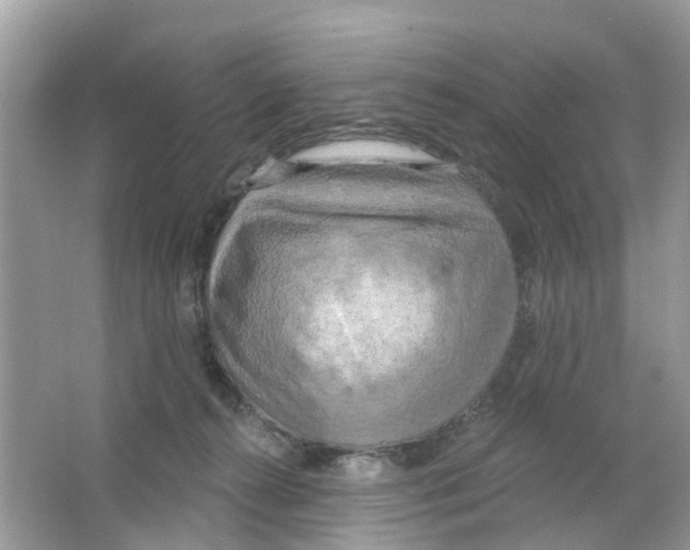 X0000063530272200602172251