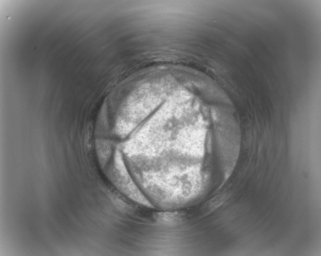 X0000063530273200602172251