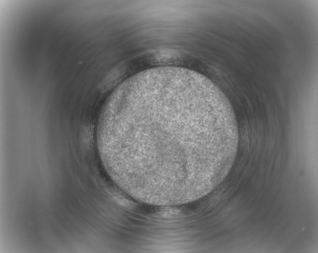 X0000063530278200602172251