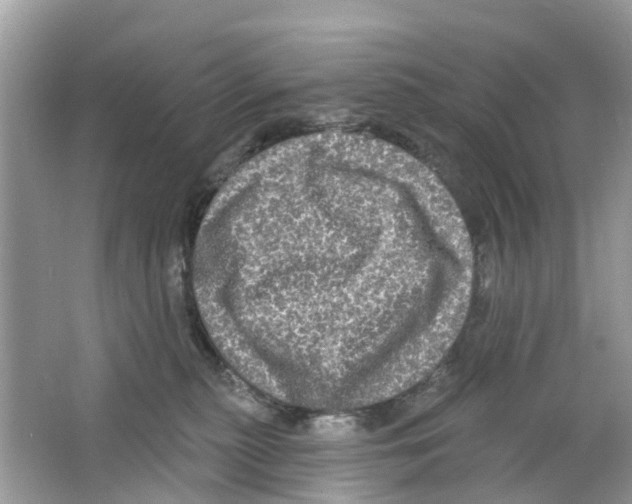 X0000063530279200602172251