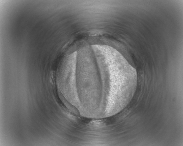 X0000063530280200602172251