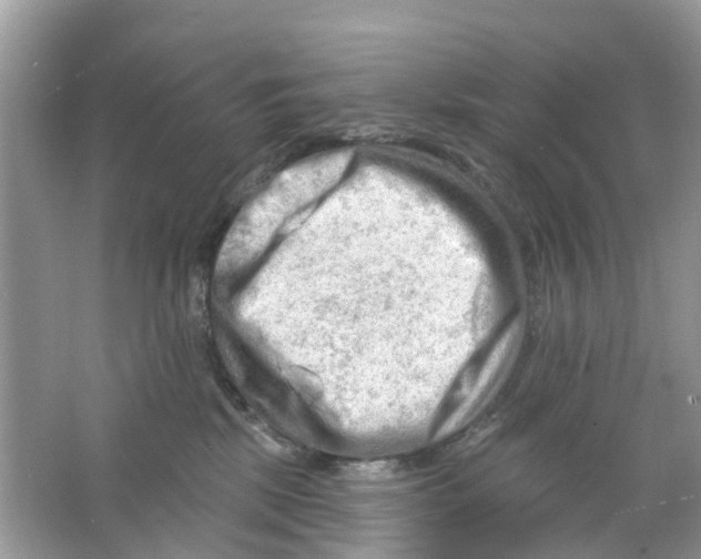 X0000063530281200602172251