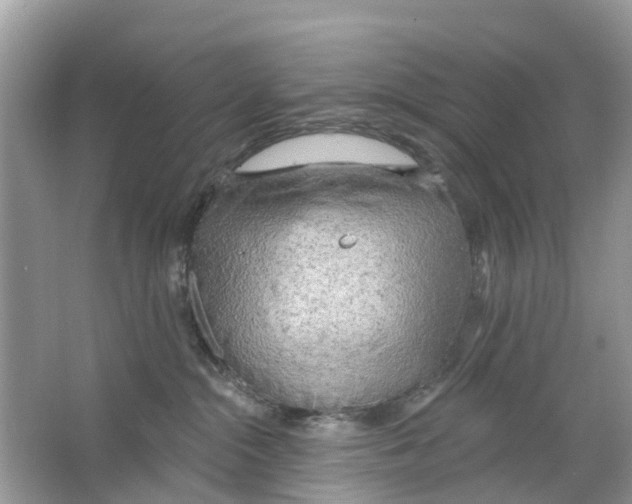 X0000063530284200602172251