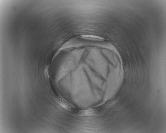 X0000063530286200602172251