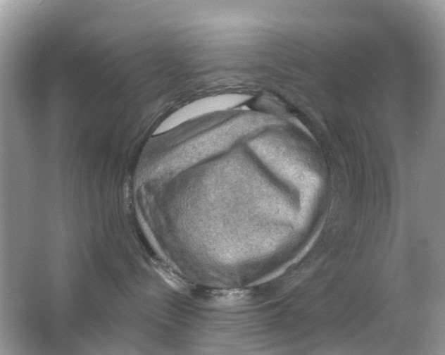 X0000063530288200602172251