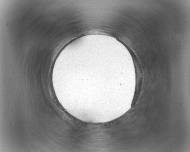 X0000063530289200602172250