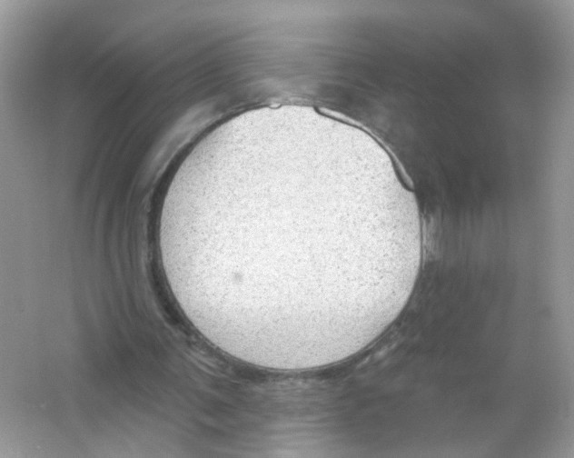 X0000063530291200602172250