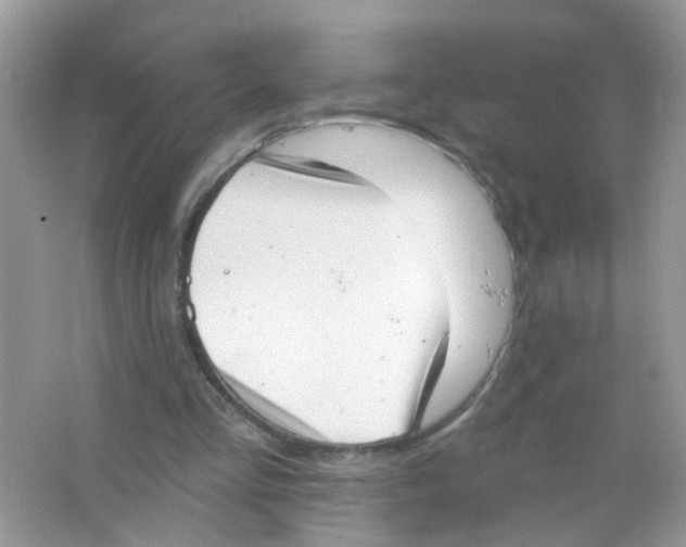 X0000063530293200602172250