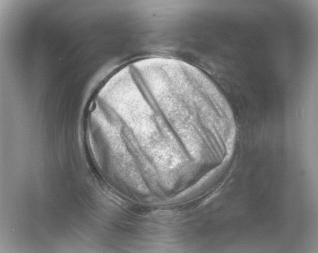 X0000063530294200602172250